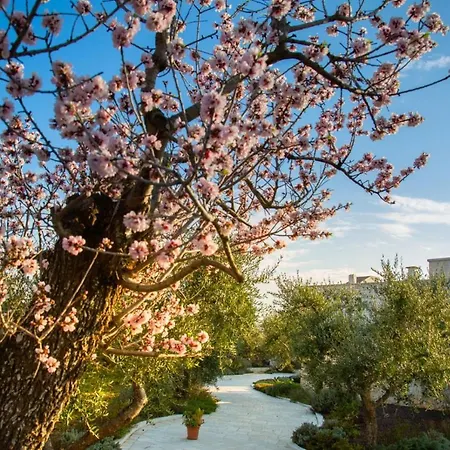 Villa Trullo Dei Maestri *