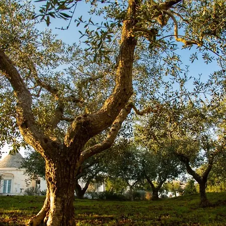 Villa Trullo Dei Maestri
