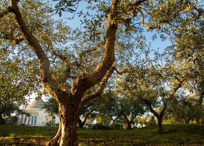 Villa Trullo Dei Maestri