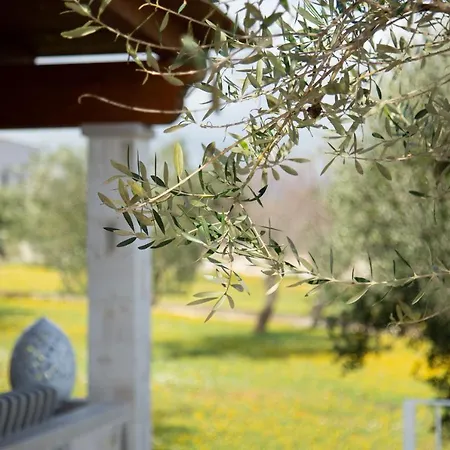 Trullo Dei Maestri Villa *